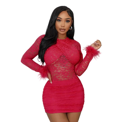 Elegant Sheer Lace Round Neck Bodycon Party Dress