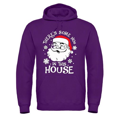 Adults XMS5 "There's Some Hos in This House" Hoodie-2