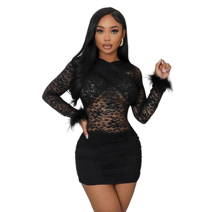 Elegant Sheer Lace Round Neck Bodycon Party Dress