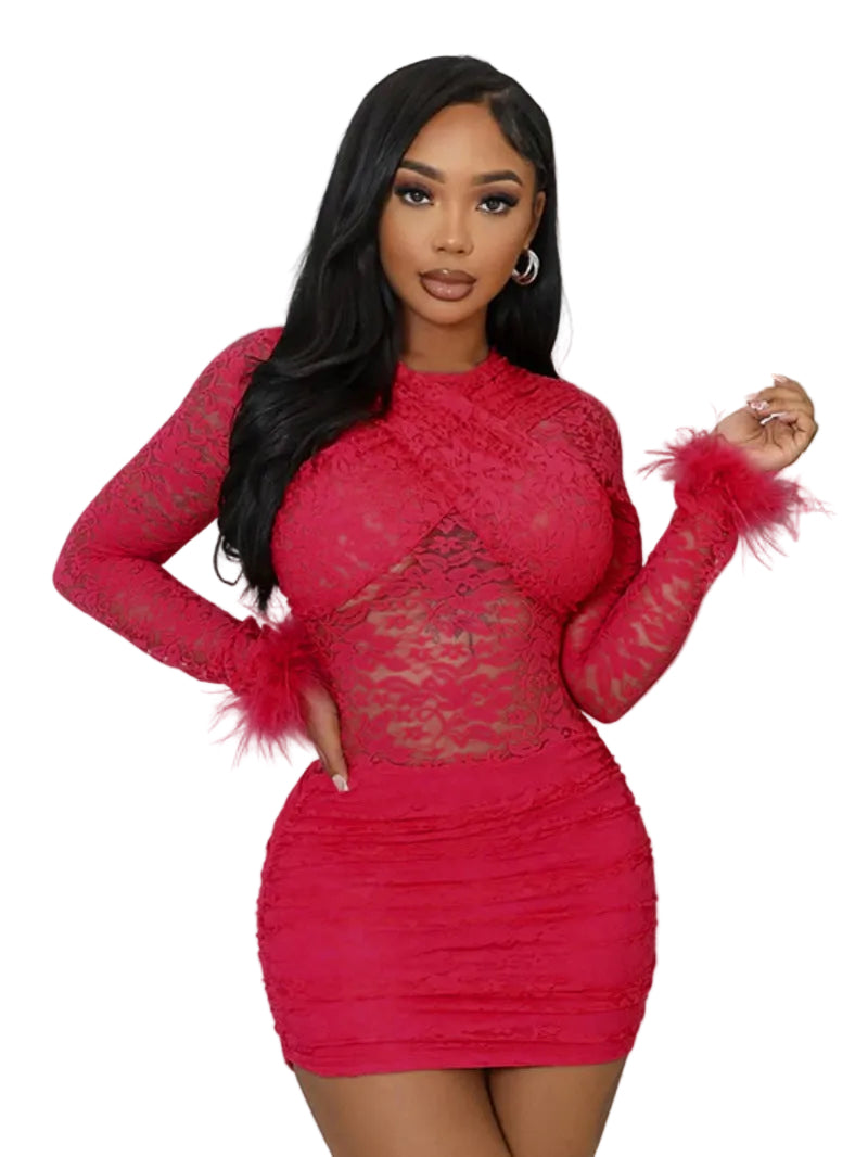 Elegant Sheer Lace Round Neck Bodycon Party Dress