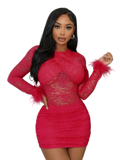 Elegant Sheer Lace Round Neck Bodycon Party Dress