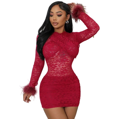 Elegant Sheer Lace Round Neck Bodycon Party Dress